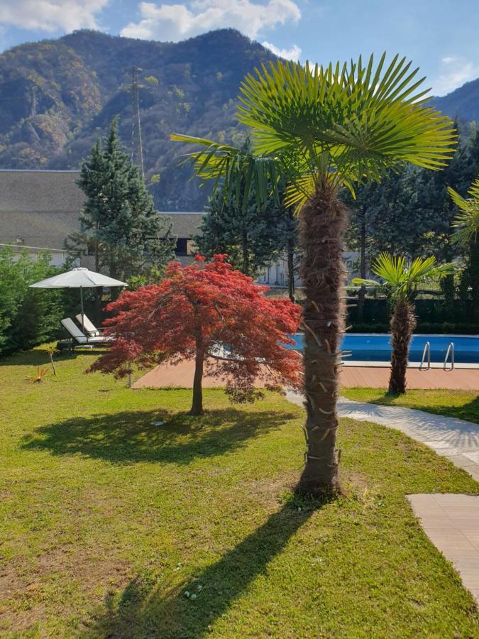 גראבלונה טוצ'ה Villa Mariel Lago Maggiore מראה חיצוני תמונה