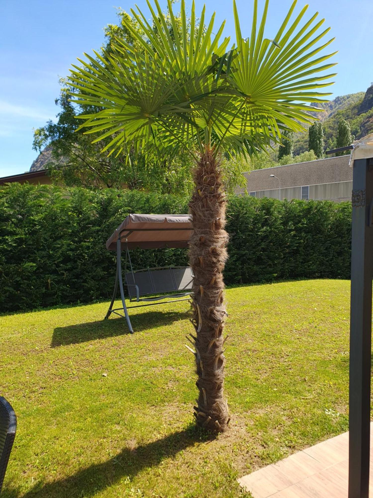 גראבלונה טוצ'ה Villa Mariel Lago Maggiore מראה חיצוני תמונה